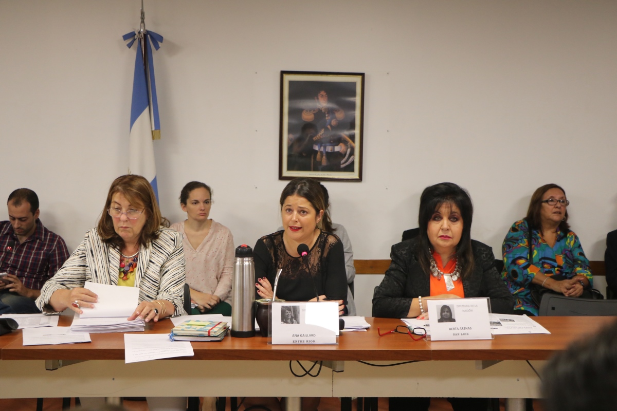 Gaillard, dura con Lemus