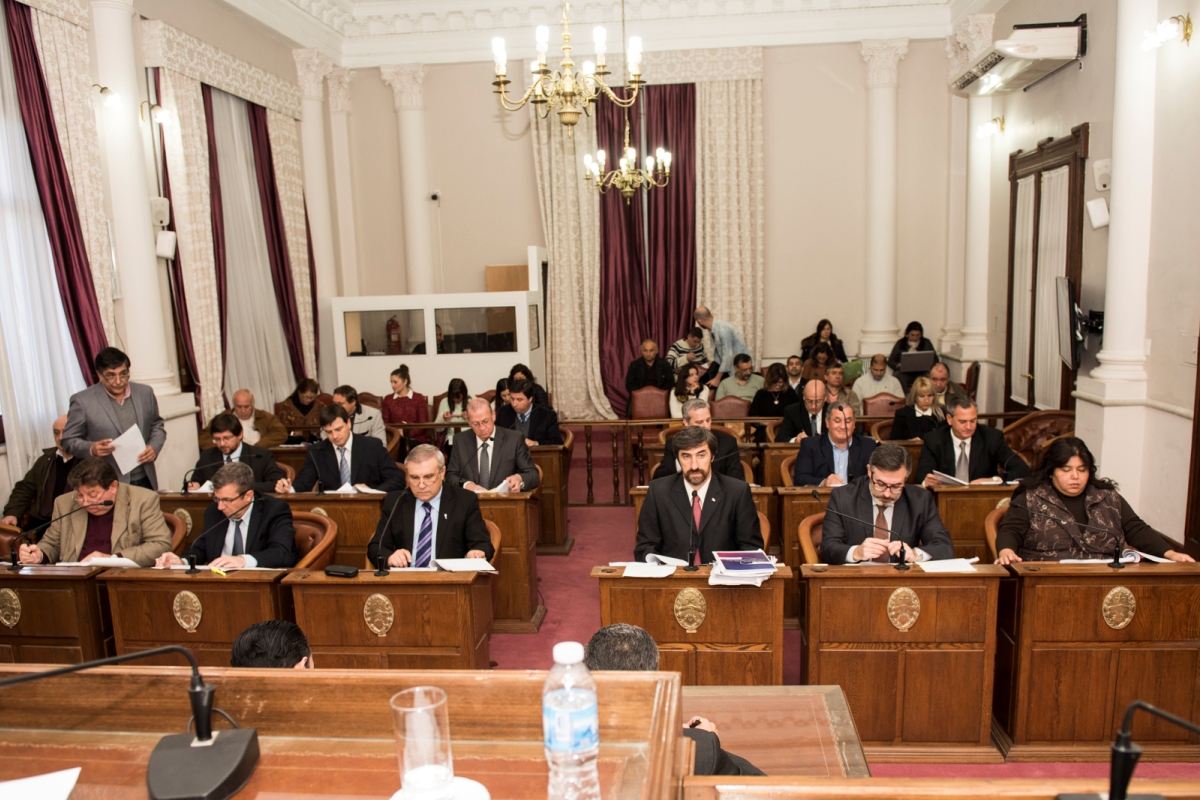 El Senado estudia un proyecto que beneficia a Marizza