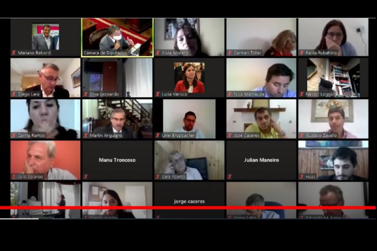 sesion diputados virtual.jpg